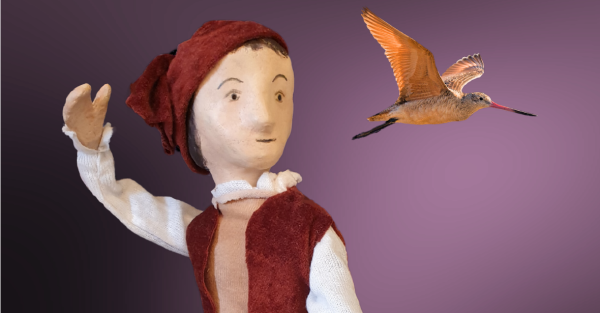 Te Wāhi Toi - The Boy with Wings (Glenorchy show)