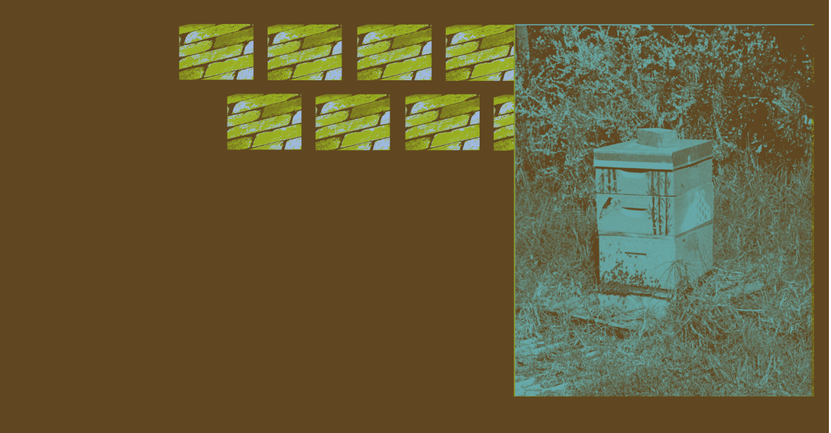 Let the Honey Soak Through