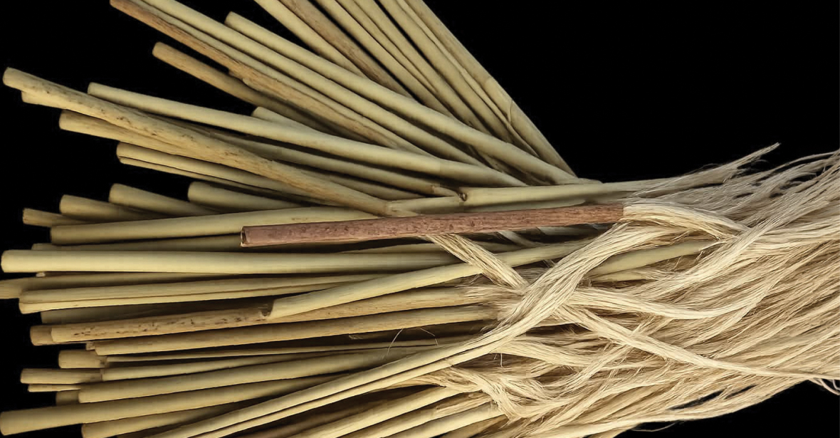 Whenu ki te Whenua | The Strands that Connect Us to the Land