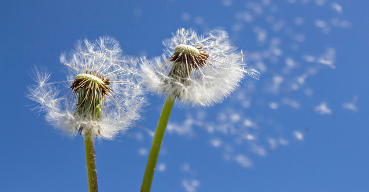 Saturday Arts Social: Early Spring Movement