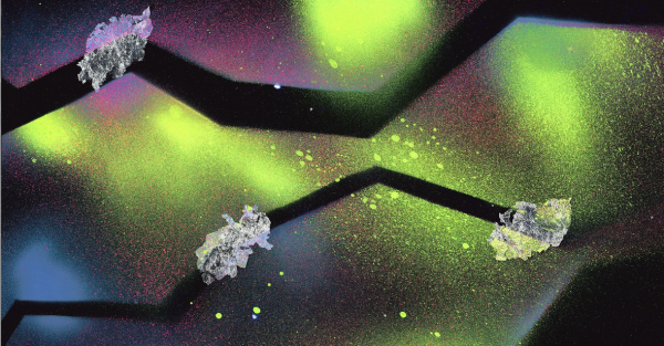 Te Wāhi Toi - Infinite Possibilities