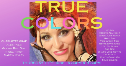 Te Wāhi Toi - True Colors - Charlotte Graf: Tiny Room Concert